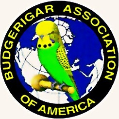 Budgerigar Association Of America