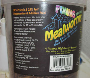 Dried Mealworms