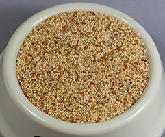 Seed Dish