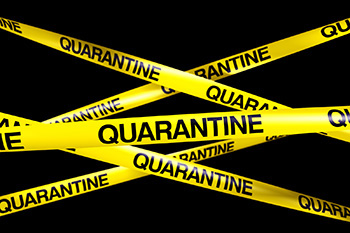 Quarantine